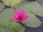 ภาพโดย(T.suwan)